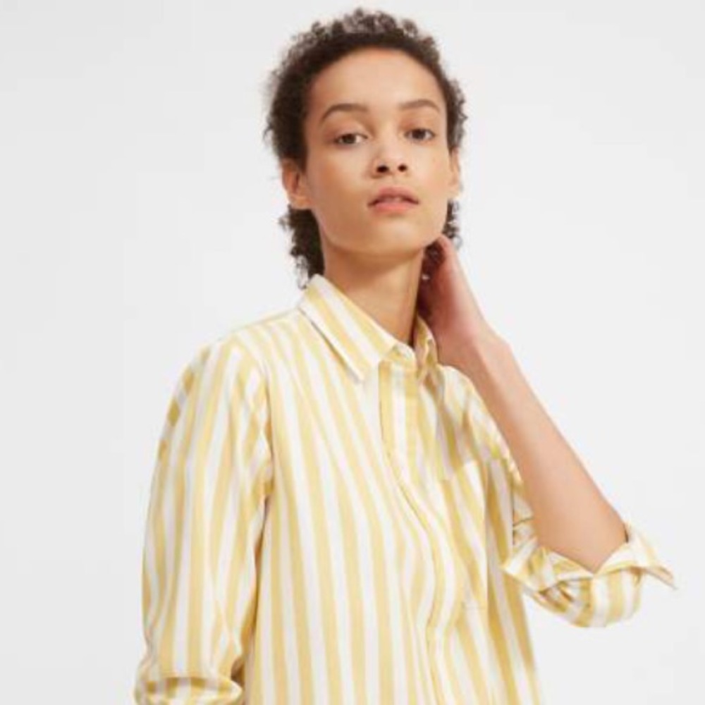 Everlane Striped Cotton Shirt Dress